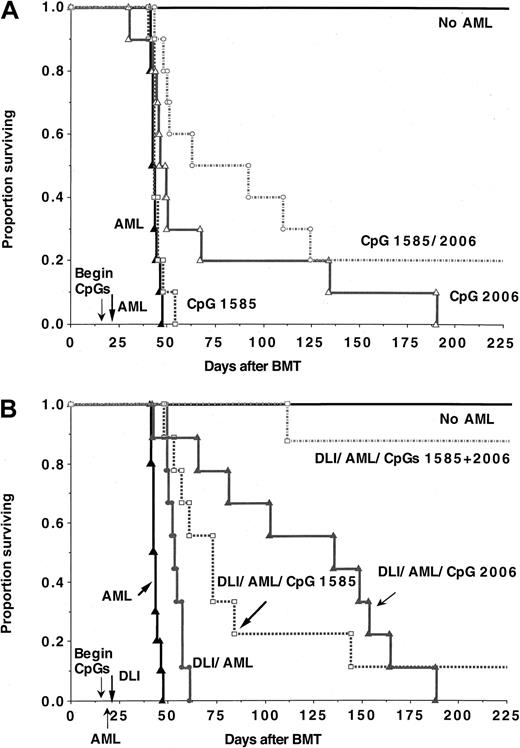 Fig. 8. Combined treatment with CpG 1585 + 2006 and DLI markedly prolongs the survival of recipients of allogeneic TCD bone marrow challenged with AML cells early (day 17) after BMT. / Lethally irradiated B6 recipients were reconstituted with B10.BR TCD bone marrow (n = 8-10 per group). On day 17, recipients were given C1498 cells (2 × 105). An additional control group received no C1498 cells. Cohorts of mice received no treatment, CpG 1585, CpG 2006, or both ODNs. ODNs treatment were initiated on day 15 and continued through day 43 (A). Other cohorts received DLI (B10.BR splenocytes, 25 × 106/mouse) on day 21 alone or with CpG ODNs (B). (A) As compared with controls, CpG 1585 treatment did not significantly prolong survival (P = .08), whereas CpG 2006 alone or CpG 1585 + 2006 significantly prolonged survival (P = .015 and .001, respectively). (B) As compared with controls, all groups receiving DLI had a significantly prolongation in survival (P ≤ .0006). The inclusion of CpG 1585, 2006, or both ODNs along with DLI resulted in an equivalent or in most cases a significant increase in survival as compared with either DLI alone (P = .01, .004, and .0001, respectively) or the comparable CpG ODN groups alone (P = .001, .10, or .002, respectively).