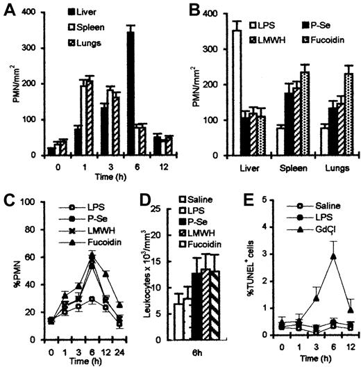 Fig. 2. Number of PMNs after various treatments. / (A) Number of PMNs reached maximal levels at 1 hour in spleen and lungs, 6 hours in the liver after LPS injection. (B) Number of PMNs was reduced in the liver after treatment with anti–P-selectin Ab or LMWH or fucoidin; significant increases were observed in spleen and lungs, compared with LPS treatment alone. (C) Percent of PMNs in peripheral blood increased and combined treatment increased more and peaked 6 hours after LPS injection. (D) About 2-fold higher total leukocyte count with anti–P-selectin Ab or LMWH or fucoidin than control was observed in peripheral blood. (E) Percent of circulating TUNEL-positive cells showed no significance between saline and LPS treatment; however, a significant increase was observed 6 hours after GdCl3injection.