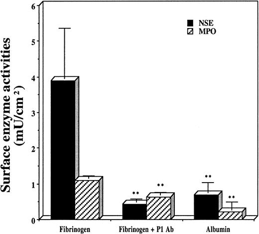 Fig. 2. Effect of anti-P1 Fab preincubation. / Anti-P1 Fab preincubation prevents phagocyte accumulation on surfaces of PET disks coated with human fibrinogen (200 μg/mL) and albumin (1000 μg/mL) after 16 hours of implantation in Swiss Webster mice. Vertical lines denote ± 1 SD (n = 5 in all cases). (**Significance vs fibrinogen-coated implants isP < .01.) Estimated numbers of Mφs (cells per square centimeter): 355 000 ± 128 000 on fibrinogen-coated disks; 39 100 ± 8200 on P1 antibody-blocked fibrinogen-coated disks; and 62 700 ± 26 400 on albumin-coated disks. Estimated numbers of PMNs (cells per square centimeter): 47 400 ± 3500 on fibrinogen-coated disks; 27 400 ± 3500 on P1 antibody-blocked fibrinogen-coated disks; and 9600 ± 9100 on albumin-coated disks.