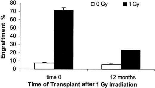 Fig. 6. Engraftment of normal male bone marrow cells into hosts irradiated 12 months earlier (1 Gy). / Female BALB/c recipient mice were given 0 or 1 Gy WBI prior to immediate or 12-month delayed infusion of 40 × 106 male bone marrow cells intravenously. Engraftment was evaluated by FISH at 8 weeks after transplantation. Significant differences were observed between time 0 and 12 months for 1 Gy groups and with age-matched controls within each time group. Mean ± SE is shown.