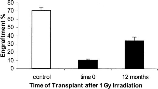 Fig. 9. Engraftment of bone marrow from donors irradiated 0 or 12 months prior to harvest (1 Gy). / Male bone marrow was harvested 0 or 12 months after WBI and transplanted in 1 Gy–treated female hosts. Engraftment was measured by FISH for Y chromosomes at 8 weeks after transplantation. Controls consisted of nonirradiated donors transplanted in 1 Gy–treated recipients. Engraftments measured for time 0 and 12 months were significantly different from each other and from controls. Mean ± SE is shown (n = 5). There is no age-matched control for these studies.
