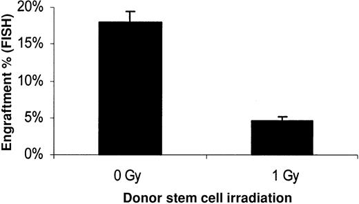 Fig. 12. Stem cell toxic effect of low-dose irradiation on donor stem cells. / Lin− Hoechst 33342lowRhodamine123low–sorted stem cells from male BALB/c mice (1.8 × 104 per mouse) were injected intravenously in 1 Gy–treated female BALB/c recipients. Prior to transplantation, half of the sorted stem cells were exposed to 1 Gy irradiation, and the other half received no treatment. Engraftment was measured in bone marrow 8 weeks after transplantation with FISH using a Y-chromosome painting probe. Cells were counted using a Rhodamine filter to give the percentage of engraftment. Mean ± SE is shown (n = 5,P ≤ .001).