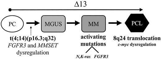 Fig. 1. A modified model for progression of MGUS and MM with the t(4;14)(p16.3;q32). / This modified version incorporates the presence of Δ13 since early in the process of pathogenesis as a critical component of the establishment of a malignant clone.