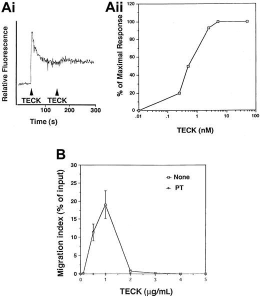Fig. 1. Transient calcium mobilization and chemotaxis of MOLT4 cells in response to TECK. / (A) MOLT4 cells were loaded with Fura-2AM and stimulated with 100 nM TECK. Calcium flux was monitored by measuring relative fluorescence of Fura-2AM (i). Fura-2AM–loaded MOLT4 cells were stimulated with the indicated concentrations of TECK (1 to 100 nM), and fluorescence was monitored. The peak amplitude of the calcium response was plotted (ii). Representative data from 3 different experiments are shown. (B) Chemotactic responsiveness of MOLT4 cells to TECK. A half-million MOLT4 cells were placed into a transwell chamber and allowed to migrate in the presence of varying concentrations of TECK for 4 hours. The number of cells were counted by a hemocytometer. MOLT4 cells were also pretreated with pertussis toxin (PT) (1 μg/mL) for 1 hour and used for chemotaxis in response to TECK. SD was calculated from 3 independent experiments.