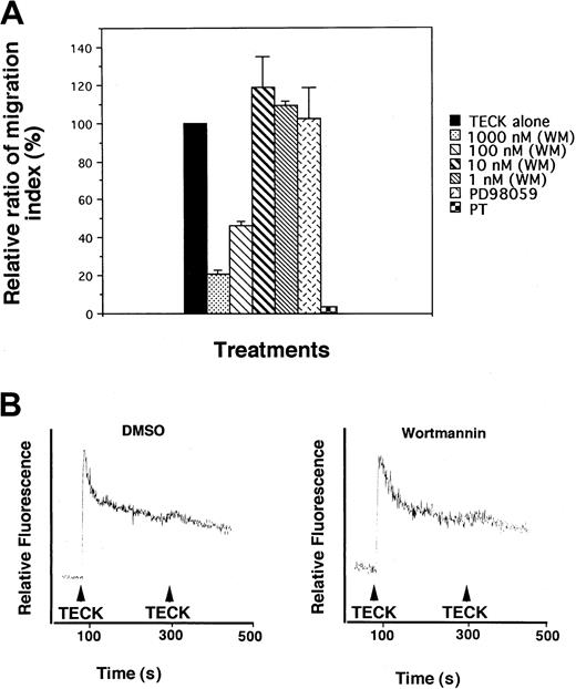 Fig. 2. Inhibition of chemotactic responsiveness of MOLT4 cells to TECK by wortmannin. / (A) MOLT4 cells were pretreated with varying concentrations of wortmannin (WM), PD98059, or pertussis toxin (PT) for 1 hour, washed twice with serum-free medium, and employed for transwell migration assay. (B) MOLT4 cells treated with DMSO or wortmannin (1 μM) were loaded with Fura-2AM and stimulated with 100 nM TECK. Calcium flux was monitored by measuring relative fluorescence of Fura-2AM. SDs were obtained from at least 3 independent experiments.