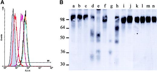 Fig. 4. Human neutrophils release proteases cleaving rhuVCAM-1. / (A) FDCP1–huVCAM-1 cells were incubated for 1 hour at 37°C in the presence of an equivalent volume of nonconditioned medium (black), NHB-conditioned media (orange), human BM stromal cell–conditioned media (BMS; blue), human BM CD34− cell–conditioned media (purple), or human PB neutrophil–conditioned media (Neut; red) and were stained with the mAb 6G10. The gray histogram is the staining with an isotypic control. Media conditioned by cells from 6 healthy donors gave similar results. (B) Western blot analysis of rhuVCAM-1 incubated for 15 minutes at 37°C in the presence of medium conditioned either by human BM stroma (lane b), NHB (lane c), human BM CD34− cells (lane d), or human PB neutrophils (lane e), or of purified human NE (lane g), CG (lane h), P3 (lane i), MMP-9 (lane j), and granzymes B (lane l), H (lane m), or M (lane n). Undigested rhuVCAM-1 is shown in lanes a, f, and k.