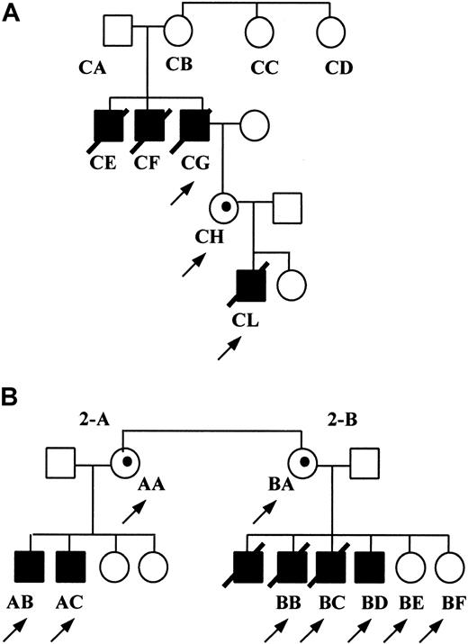 Fig. 1. Pedigree of the 2 CVID families investigated. / Genetic trees of family 1 and family 2 are shown in panels A and B, respectively. Patients are labeled with numbers and letters as indicated in the text. An arrow indicates patients analyzed for the presence of SH2D1A gene mutations. (box) Males; (circle) females; (line through) deceased; (filled) affected male; (dotted) patient carrier; (open) unaffected subjects.