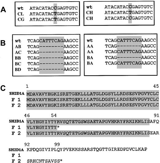 Fig. 2. Alterations in the. / SH2D1A gene and the SH2D1A protein. (A) Alignment of the wild-type SH2D1A complementary DNA (cDNA) sequence with the nucleotide sequences obtained from patients C.L. and C.G. (left) and C.H. sequences (right). Panels depict the gene segment of interest. Nucleotide differences are indicated in gray. A single nucleotide substitution was detected at position 462 of the SH2D1A cDNA coding region of patients C.L. and C.G. (C462T) (left). After subcloning, approximately half the exon 2 PCR products of C.H. (mother of C.L. and daughter of C.G.) contained the C462T nucleotide substitution (right panel). (B) The SH2D1A cDNA nucleotide sequence was aligned with the sequences obtained from patients A.C., A.B., B.B., B.C., and B.D. (left) and A.A. and B.A. sequences (right). Panels depict the gene segment of interest. Nucleotide differences are indicated in gray. An 8-nucleotide deletion was detected between positions 548 and 555 of the SH2D1A cDNA coding region of patients A.C., A.B., B.B., B.C., and B.D. (left). After subcloning, approximately half the exon 3 PCR products of A.A. (mother of A.B. and A.C.) and B.A. (mother of B.B., B.C., and B.D.) contained the 8-nucleotide deletion detected in their sons (right). (C) Comparison of the 2 mutant protein sequences with wild-type SH2D1A. The single nucleotide C462T substitution detected in family 1 resulted in a change of the triplet CGA that coded for R55 to the stop codon triplet TGA. This generated a shorter SH2D1A protein of 54 amino acids (R55X) (indicated in the figure as F1). The 8-nucleotide deletion in the third exon of family 2 resulted in a change of the protein reading frame, generating a premature ending signal at a position corresponding to Y100 in SH2D1A. The shorter SH2D1A protein of 99 amino acids (Y100X) is indicated in the figure as F2. The gray area indicates the identity of residues among wild-type SH2D1A and the 2 mutant proteins. Asterisks mark the premature stop codon signals.