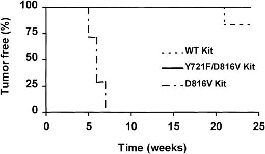 Fig. 8. Mutation of the binding site for PI3K abolished tumor formation induced by MIHC-D816V. / Syngeneic (CBA) mice were injected subcutaneously with 2 × 106 MIHCs expressing D816V c-Kit (n = 7), D816V/Y721F c-Kit (n = 7), wild-type c-Kit (n = 6), Y721F c-Kit, or parental MIHC (n = 6; not shown). All cells were maintained in GM-CSF before injection. The experiment was terminated after 24 weeks with no tumors identified in mice injected with MIHC parent, MIHC-Y721F, or MIHC-D816V/Y721F.
