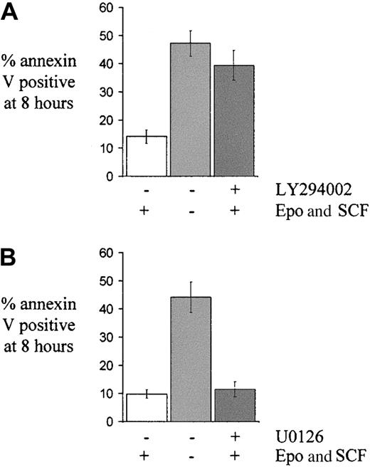 Fig. 3. The effect of pharmacological blockade of either the PI3K/Akt pathway or the MAP kinase pathway on apoptosis in primary human erythroid progenitors. / Cells on day 5 to 7 of culture were washed and returned to medium either with or without growth factors (Epo 2 U/mL and SCF 20 ng/mL) or, in the case of cells given growth factors, either with (A) LY294002 (25 μM, n = 8) or (B) U0126 (10 μM, n = 5) as shown, or not. The mean percentage ± SEM of apoptotic cells at 8 hours, as determined by annexin V binding, is indicated.