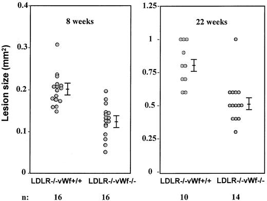 Fig. 2. Size comparison of atherosclerotic lesions in the aortic sinus of LDLR-deficient mice with and without vWf. / Eight-week-old mice were put on an atherogenic diet for 8 or 22 weeks. Hearts were collected and processed, and oil red-O–positive lesions were measured. Mean values of 5 sections per mouse were compared. Bars represent standard error of the mean. Differences between LDLR−/− vWf+/+ and LDLR−/−vWf−/− mice were significant at both time points.