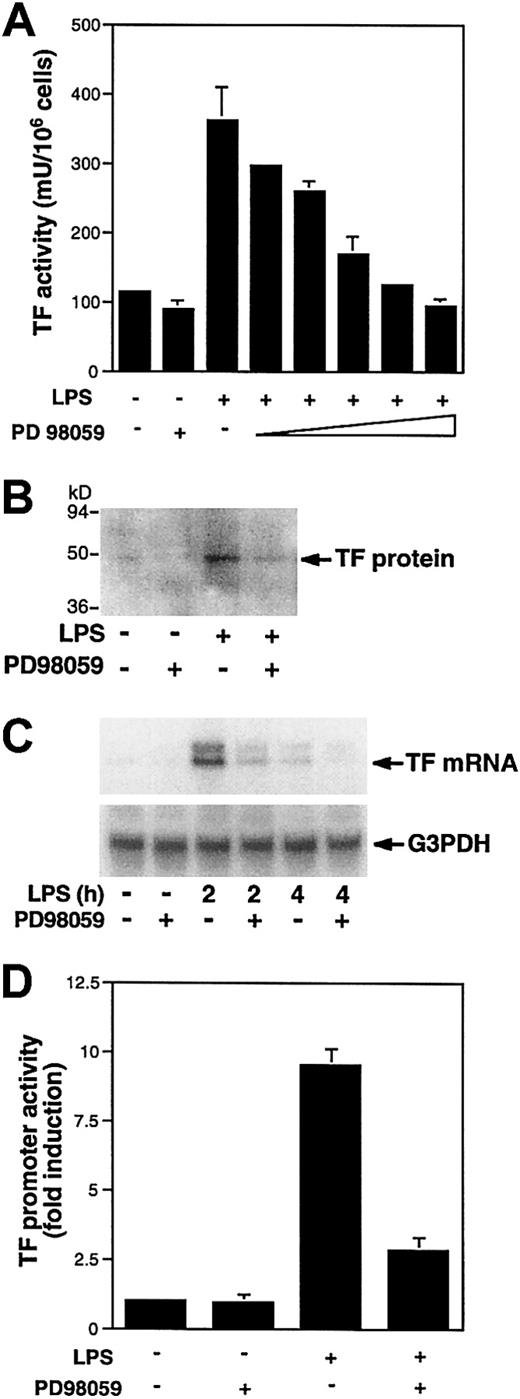 Fig. 2. LPS induction of TF expression in THP-1 cells is inhibited by PD98059. / (A) THP-1 cells were preincubated with various doses of PD98059 (0.1, 0.5, 5, 10, 20 μM) prior to stimulation with LPS (10 μg/mL) for 5 hours. TF activity was determined in triplicate using a one-step clotting assay. Data (mean ± SD) from 3 independent experiments are shown. (B) TF antigen was detected by Western blotting in LPS-stimulated (5 hours) THP-1 cells with or without preincubation with PD98059 (25 μM). (C) Total RNA was extracted from THP-1 cells stimulated with LPS for 2 or 4 hours at 37°C after preincubation for 30 minutes with or without PD98059 (50 μM). TF mRNA levels were determined by Northern blotting. The membrane was reprobed with a G3PDH probe to assess RNA loading. (D) The pTF-LUC (3 μg) was transiently transfected into THP-1 cells. After 46 hours, transfected cells were preincubated in the presence or absence of PD98059 (25 μM) for 30 minutes prior to incubation with or without LPS for 5 hours at 37°C. Luciferase activity in cell lysates was determined, and results were expressed as fold induction. Data (mean ± SD) are from 3 independent experiments.