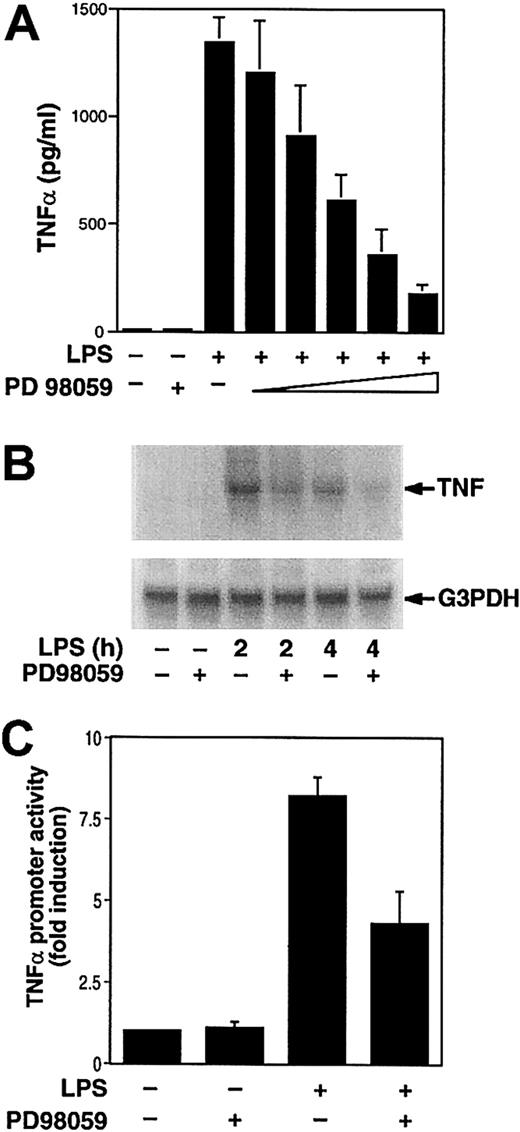 Fig. 3. LPS induction of TNF-α expression in THP-1 cells is inhibited by PD98059. / (A) THP-1 cells were preincubated with various doses of PD98059 (0.1, 0.5, 5, 10, 20 μM) prior to stimulation with LPS (10 μg/mL) for 5 hours. TNF-α antigen in cell supernatants was determined in duplicate by ELISA. Data (mean ± SD) from 5 experiments are shown. (B) Total RNA was extracted from THP-1 cells stimulated with LPS for 2 or 4 hours at 37°C after preincubation for 30 minutes with or without PD98059 (50 μM). TNF-α mRNA levels were determined by Northern blotting. The membrane was reprobed with a G3PDH probe to assess RNA loading. (C) The pTNF-LUC (3 μg) was transiently transfected into THP-1 cells. After 46 hours, transfected cells were preincubated in the presence or absence of PD98059 (25 μM) for 30 minutes prior to incubation with or without LPS for 5 hours at 37°C. Luciferase activity in cell lysates was determined, and results were expressed as fold induction. Data (mean ± SD) are from 3 independent experiments.