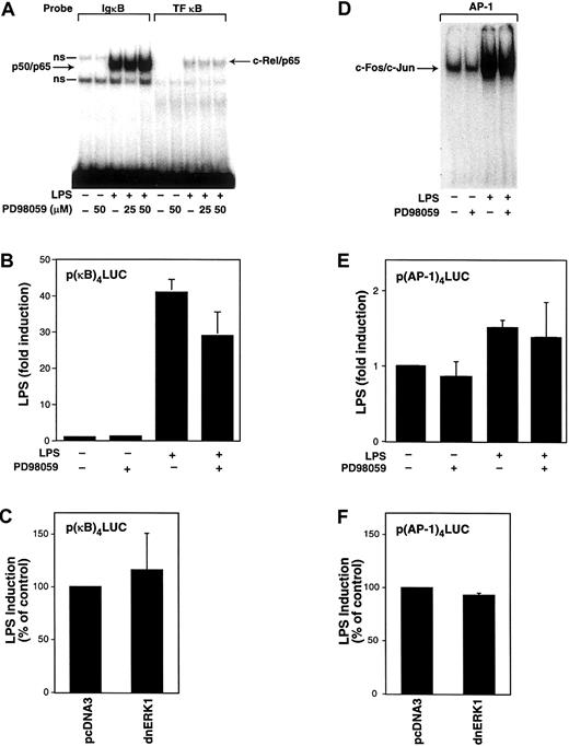 Fig. 4. Effect of PD98059 on LPS-induced nuclear binding of NF-κB and AP-1 and κB- and AP-1–dependent transcription in THP-1 cells. / (A) Nuclear extracts were prepared from THP-1 cells preincubated with or without PD98059 (50 μM) for 30 minutes before stimulation with LPS (10 μg/mL) for 2 hours. EMSAs were used to measure binding of p50/p65 and c-Rel/p65 to oligonucleotides containing κB sites from the murine IgκB and human TF genes. Two nonspecific (ns) complexes were observed binding to the IgκB oligonucleotide. (B) The p(κB)4-LUC (3 μg) was transfected into THP-1 cells. After transfection, cells were preincubated in the presence or absence of PD98059 (50 μM) for 30 minutes before incubation with or without LPS for 5 hours at 37°C. (C) The p(κB)4-LUC was cotransfected with either vector control (pcDNA3) or a plasmid expressing a dominant-negative ERK1 mutant. (D) EMSAs were used to measure c-Fos/c-Jun binding to an AP-1 site using nuclear extracts from cells stimulated with LPS (1 hour) with or without PD98059. (E) LPS-induced, AP-1–dependent transcription was measured in cells transfected with p(AP-1)4-LUC in the presence and absence of PD98059. (F) LPS-induced, AP-1–dependent transcription was measured in the presence and absence of a plasmid expressing a dominant-negative ERK1 mutant. Transfection data are shown from 6 independent transfection experiments and are expressed as mean ± SD.