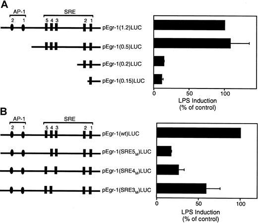Fig. 8. LPS induction of the Egr-1 promoter is mediated by SRE3, SRE4, and SRE5. / (A) LPS induction of a 5′ deletion series of the Egr-1 promoter. (B) LPS induction of the wild-type Egr-1 promoter and mutants of SRE3, SRE4, and SRE5. Luciferase activity in cell lysates was determined, and results were expressed as fold induction. Data (mean ± SD) are shown for 3 independent experiments.