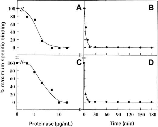 Fig. 3. Effect of cathepsin G and neutrophil elastase on binding of P-selectin to neutrophils. / Specific binding of 125I-labeled P-selectin (1 μg/mL, final concentration) to neutrophils (2 × 107/mL, final concentration) pretreated with cathepsin G (A and B) or neutrophil elastase (C and D). For the dose-response curves (A and C), the digestion time was 30 minutes at 22°C. For the time course (B and D), the final concentration of the enzymes was 20 μg/mL. Data are representative of 3 separate experiments.