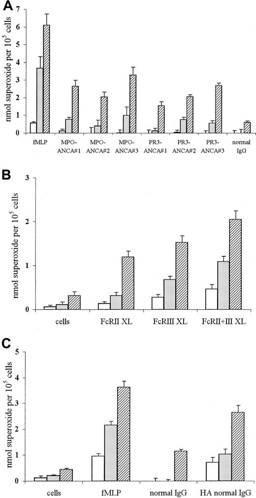 Fig. 1. Superoxide production in neutrophils stimulated with fMLP or ANCA IgG or by conventional FcγR ligation using either cross-linking antibodies or aggregated IgG. / Superoxide production in 105 neutrophils primed with 2 ng/mL TNF-α and stimulated with (A) 1 μM fMLP, 200 μg/mL MPO-ANCA IgG, 200 μg/mL PR3-ANCA IgG, or 200 μg/mL normal IgG, or with (B) primed, unstimulated cells or cells stimulated with 1 μg/mL IV.3 (FcRII XL), 1 μg/mL 3G8 (FcRIII XL), or both monoclonal antibodies (FcRII+III XL), followed by cross-linking with 10 μg/mL GAM F(ab′)2, or with (C) primed, unstimulated cells or cells stimulated with either 1 μM fMLP, 200 μg/mL normal IgG, or 200 μg/mL heat-aggregated IgG for 1 (■), 5 (░), or 15 (▨) minutes. (Note different scales in the 3 panels.) All experiments were repeated 3 times using neutrophils from different donors, 3 different MPO-ANCA and PR3-ANCA IgG preparations, and 2 different normal IgG samples (native and heat-aggregated) and 6 replicates of all samples. Results show mean ± SEM of data pooled from all 3 experiments.