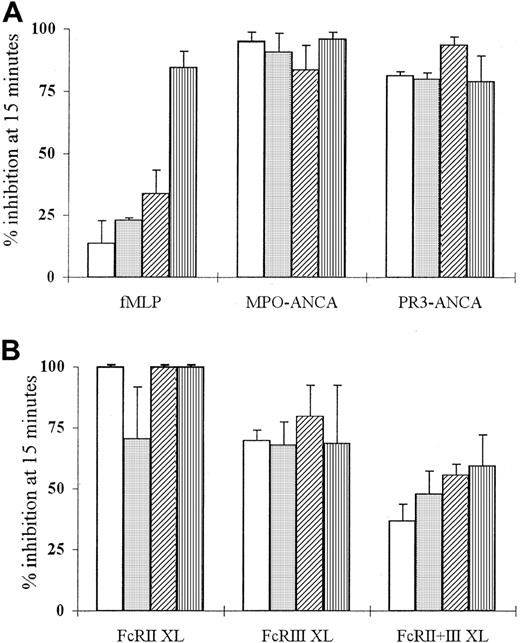 Fig. 4. Effect of LY294002 on fMLP, ANCA, and anti-FcγR superoxide production. / Aliquots of 105 neutrophils were primed with 2 ng/mL TNF-α and treated with 0.5 (■), 5 (░), 10 (▨), or 50 μM LY294002 (▥) before stimulation with (A) 1 μM fMLP, 200 μg/mL MPO-ANCA, or PR3-ANCA IgG or (B) 1 μg/mL IV.3 (FcRII XL), 1 μg/mL 3G8 (FcRIII XL), or 1 μg/mL of both anti-FcγR monoclonal antibodies (FcRII+III XL) followed by 10 μg/mL GAM F(ab′)2cross-linking antibody for 15 minutes. All experiments were repeated 3 times, with 6 replicates of all samples. Results are shown as mean percentage inhibition of superoxide production ± SEM of data pooled from all 3 experiments.