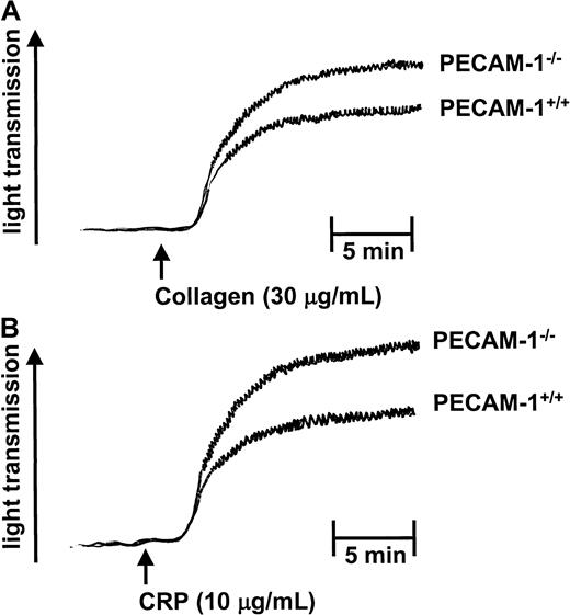Fig. 5. PECAM-1–deficient platelets demonstrate enhanced collagen- and CRP-induced platelet aggregation responses. / PRP from PECAM-1+/+ and PECAM-1−/− mice was stimulated with collagen (30 μg/mL) and CRP (10 μg/mL) under stirring conditions, and aggregation was monitored by changes in light transmission. The ordinate represents percentage changes in light transmission. Data are representative of 3 experiments.