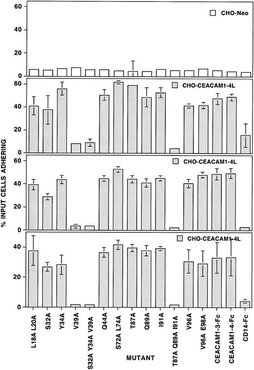 Fig. 6. The GFCC′C" face of the CEACAM1 N-terminal domain contributes to homophilic adhesion. / The 96-well Immulon 3 plates were coated with goat antihuman Fc prior to the addition of the mutated CEACAM1-3-Fc proteins or of the unmodified CEACAM1-3-Fc and CEACAM1-4-Fc soluble constructs. CD14-Fc was used as the negative control. CHO-CEACAM1-4L transfectants were labeled with the fluorescent tag, BCECF-am, and allowed to adhere to these soluble constructs for 60 minutes at 37°C. The total fluorescence of each well was then determined using the Cytofluor II fluorescence plate reader. The plates were then washed and the number of cells adhering determined by fluorescence estimations in the Cytofluor II as a percentage of the total cells added per well. CHO-Neo cells were used as a negative control for CHO cell binding. Six replicates were used for each construct and the experiments performed on 3 separate occasions. The results show the mean ± SD of 6 replicates for one typical CHO-Neo experiment and for 3 CHO-CEACAM1-4L binding experiments.