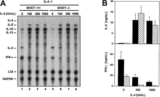 Fig. 2. IL-4 promotes Th2 differentiation of NFAT1−/− IL-4−/− T cells. / (A) IL-4 treatment up-regulates mRNAs encoding Th2 cytokines and down-regulates IFN-γ mRNA in both NFAT1−/−IL-4−/− (▨) and NFAT1+/+IL-4−/− (▪) cells. CD4+ T cells from NFAT1+/+ IL-4−/− and NFAT1−/−IL-4−/− mice were cultured for 4 days with anti-CD3 and IL-2 in the presence of IL-4 (0-1000 U/mL), rested for 48 hours, and restimulated with anti-CD3. Six hours after restimulation, total cellular RNA was isolated and analyzed by RNase protection assay for transcript levels of the indicated cytokines. (B) IL-4 treatment up-regulates IL-5 production and down-regulates IFN-γ production in both NFAT1−/− IL-4−/− and NFAT1+/+ IL-4−/− cells. NFAT1+/+IL-4−/− and NFAT1−/− IL-4−/−CD4+ T cells were cultured as in panel A. Supernatants were collected 24 hours after restimulation, and levels of IFN-γ and IL-5 were determined by ELISA. Values are expressed as the means ± SEM of 3 independent experiments.