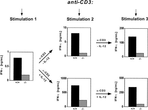 Fig. 5. NFAT1 is required for optimal IFN-γ production by T cells at all stages of T-cell differentiation. / NFAT1 is required for optimal IFN-γ production by naive and differentiated T-helper cells. NFAT1+/+IL-4−/− and NFAT1−/− IL-4−/−CD4+ T cells were sorted by FACS for high expression of Mel-14 and were cultured with plate-bound anti-CD3 and IL-2 for 2 consecutive rounds of differentiation, in the absence (top panels) or presence (bottom panels) of IL-12. Before differentiation (stimulation 1, left panel) and after the first (stimulation 2, middle panels) and second (stimulation 3, right panels) rounds of differentiation, cells were stimulated for 48 hours (stimulation 1) or 24 hours (stimulations 2 and 3) with plate-bound anti-CD3, after which IFN-γ was analyzed in the supernatants of the cells. Note that y-axis scales representing IFN-γ production are different in all panels.