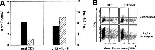 Fig. 7. NFAT1 regulates the acute phase of IFN-γ production in T-helper cells. / (A) Reduced IFN-γ production by freshly isolated NFAT1−/− IL-4−/− T-helper cells in response to stimulation with anti-CD3 but not IL-12/IL-18. NFAT1+/+IL-4−/− (▪) and NFAT1−/−IL-4−/− (▨) CD4+ T cells were stimulated either with plate-bound anti-CD3 (left panel) or a combination of IL-12 and IL-18 (right panel) for 48 hours, after which IFN-γ was analyzed in the supernatants of the cells. Shown is a representative of 3 (left panel) or 5 (right panel) independent experiments. (B) The selective NFAT inhibitor GFP-VIVIT suppresses IFN-γ production by a murine T-cell clone. Cl.7W2 cells were transfected with plasmids encoding either GFP or GFP-VIVIT. The next day the cells were either left unstimulated or were stimulated for 5 hours with PMA and ionomycin. IFN-γ production was analyzed at a single-cell level by intracellular cytokine staining. Dot blots from 1 of 3 similar experiments are shown. Thresholds for IFN-γ production were set using the unstimulated control. Note that each panel shows transfected (GFP-positive) and nontransfected (GFP-negative) cells of the same sample.