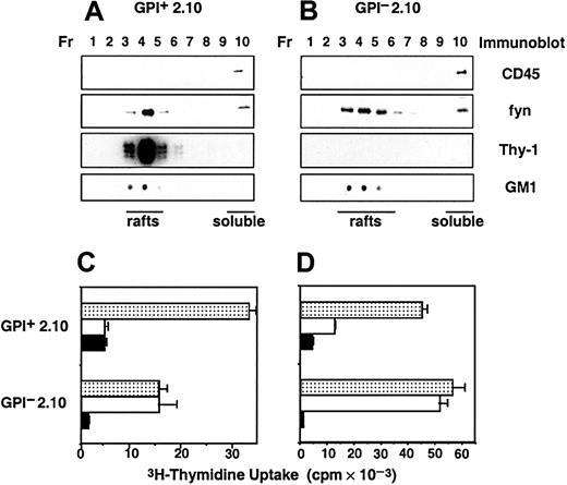 Fig. 4. Proliferative responses of T cells to TCR and IL-2 are inhibited by the lipid raft component GM1. / (A-B) Plasma membrane compartmentalization into lipid rafts in the presence or absence of GPI-anchored proteins. Lysates of GPI+ (A) or GPI− (B) 2.10 T cells were subjected to discontinuous sucrose density gradient ultracentrifugation. Fractions (Fr) were collected from the top of the gradient, and the distribution of CD45, Fyn, Thy-1, and GM1 was analyzed by immunoblotting. Fractions corresponding to lipid rafts and soluble membranes are indicated. (C-D) Immobilized CT inhibits anti-TCR and IL-2–induced proliferation. GPI+ and GPI−2.10 T cells were cultured in wells precoated with CT (▪), anti–Thy-1 (■), or an isotype control (░) mAb and coimmobilized anti-TcR-Cβ (C) or in the presence of 15 U/mL IL-2 (D).3H-thymidine uptake was assessed after 20 hours of culture.