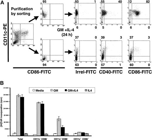 Fig. 2. Pathway of cell differentiation and proliferative capacity of BM DCs. / (A) CD11c+CD86− BM DCs are the immediate precursors of CD11c+CD86+ DCs, whereas double-negative cells are the progenitors of CD11c+CD86− DCs. BM cells cultured in GM-CSF + IL-4 (day 7) were labeled with PE anti-CD11c and FITC anti-CD86, FACS-sorted into CD11c+CD86− DCs (upper row) and into double-negative cells (lower row), and recultured in GM-CSF + IL-4 for 24 hours. Numbers outside quadrants indicate percentages of cells. (B) Proliferative capacity of CD11c− CD86−, CD11c+CD86−, and CD11c+CD86+ BM-derived cells. BM cells cultured with GM-CSF + IL-4 (day 7) were labeled, FACS-sorted, and grown with medium, GM-CSF (GM), GM-CSF + IL-4 (GM + IL-4), or IL-4 (3 × 104 cells/well). Proliferation was assessed by3H-TdR incorporation after 3 days of culture. Results are representative of 3 experiments.