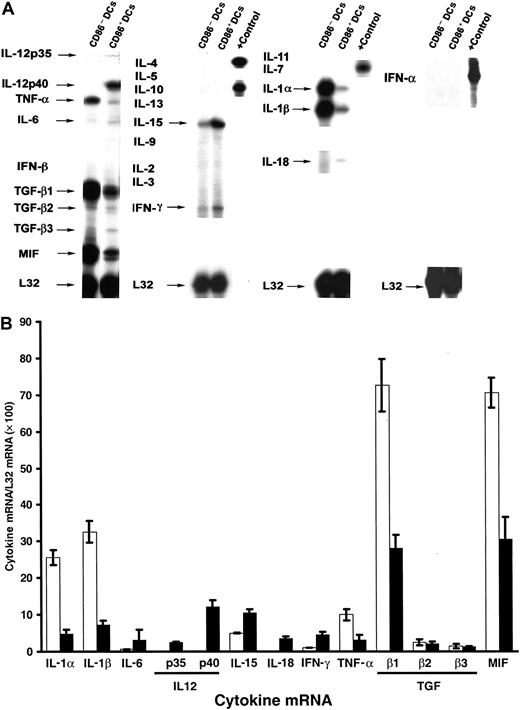 Fig. 4. Comparative RPA analysis of cytokine mRNA expression of BM DCs at different stages of cell differentiation. / mRNA isolated from FACS-sorted DCs was analyzed by RPA. Data are from a single experiment representative of 3 separate experiments. (B) Quantitative analysis of mRNA cytokine gene expression. Densitometric analysis of each lane was performed on scanned autoradiographs, and all values are expressed relative to corresponding housekeeping gene transcripts (L32). ■, CD11c+CD86− DCs; ▪, CD11c+CD86+ DCs. Densitometric values were pooled from 3 separate experiments.