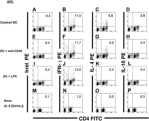 Fig. 8. Th-cell–driving potential of BM DCs terminally differentiated by LPS or CD40 ligation. / Detection of Th1 (IFN-γ) and Th2 cytokines (IL-4 and IL-10) in C3H CD3+CD4+ splenic T cells after in vitro stimulation with γ-irradiated allogeneic (B10): (1) CD86+BM DCs (A-D); (2) CD86+ BM DCs differentiated with anti-CD40 IgM mAbs (E-H); or (3) CD86+ BM DCs incubated with LPS (I-L). After 3-day MLR, the T cells were harvested and restimulated with anti-CD3ε + anti-CD28 mAbs in the presence of brefeldin A. Thereafter, the cells were labeled with anti-CD3, FITC anti-CD4, and PE anti–IFN-γ, anti–IL-4, or anti–IL-10 mAbs. DCs were gated out according to their lack of expression of CD3. As controls, C3H T cells were maintained for 3 to 4 days in low-dose rIL-2 (2 U/mL) and then restimulated with anti-CD3 + anti-CD28 mAbs (M-P). Irrel indicates irrelevant. Figures in quadrants denote percentages. Data are representative of 3 separate experiments.