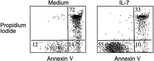 Fig. 1. IL-7 prevents apoptosis of T-ALL cells during in vitro culture. / T-ALL cells were cultured either in media alone or in the presence of IL-7. After 72 hours of culture, cells were harvested and stained with annexin V and propidium iodide as described in “Materials and methods,” and viability was determined by FACS analysis. Results obtained from one representative patient are shown and were similar to those observed in 10 of 12 patients studied.