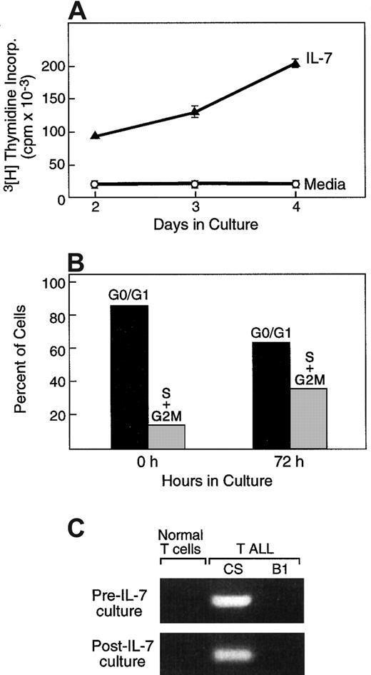 Fig. 2. IL-7 promotes cell cycle progression in T-ALL cells. / (A) T-ALL cells were cultured for 72 hours in media alone or in the presence of IL-7, and proliferation was examined by thymidine incorporation. (B) At the same time interval IL-7–cultured cells were isolated, and the percentage of cells at each phase of the cell cycle was examined as described in “Materials and methods.” (C) Cells cycling in response to IL-7 are of malignant origin. After culture with IL-7, cells at the S+G2/M phases of the cell cycle were isolated by cell sorting and examined by RT-PCR by using patient-specific primers for the detection of a specific clonal TCR rearrangement identified at diagnosis. Results from one representative patient (P4) among 3 patients studied are shown. Primers used were specific for patient P4 and generated a PCR product from P4 (CS) but not from patient P2 (B1) or from normal T cells.