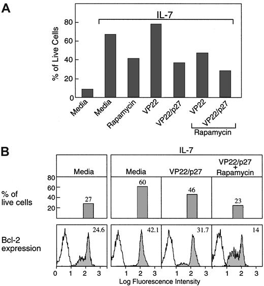 Fig. 5. Down-regulation of p27kip1 is mandatory for induction of bcl-2 expression and promotion of viability by IL-7 in T-ALL cells. / (A) T-ALL cells were cultured for 72 hours under the indicated conditions, and the percentage of viable cells was examined by propidium iodide staining followed by FACS analysis as described in Materials and methods. (B) T-ALL cells isolated from the indicated culture conditions were examined for viability as above and for expression of bcl-2 protein levels by intracellular staining and by FACS analysis, as described in Materials and methods.