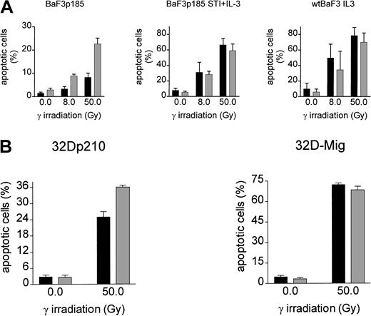 Fig. 3. Induction of apoptosis by γ-irradiation is selectively reduced in Bcr-Abl+ BaF3 cells following adhesion to fibronectin. / (A) Bcr-Abl+ BaF3 cells with or without STI571/IL-3 and Bcr-Abl− wtBaF3 cells were cultured for 24 hours on immobilized fibronectin (▪) or polylysin (░). Selectively adherent cells were then γ-irradiated with indicated dosages. After a growing period of 17 hours, the percentage of apoptotic cells was determined by TUNEL-assay. Values reflect the mean ± SEM of 3 independent examinations. (B) Percentage of apoptotic cells following irradiation with 0 Gy and 50 Gy of bcr-abl–transfected 32D (left panel) and Mig-transfected 32D cells (right panel). Apoptosis was detected with Annexin V-PE. Values reflect the mean ± SEM of 3 independent examinations. ▪ indicates fibronectin; ░, polylysin.