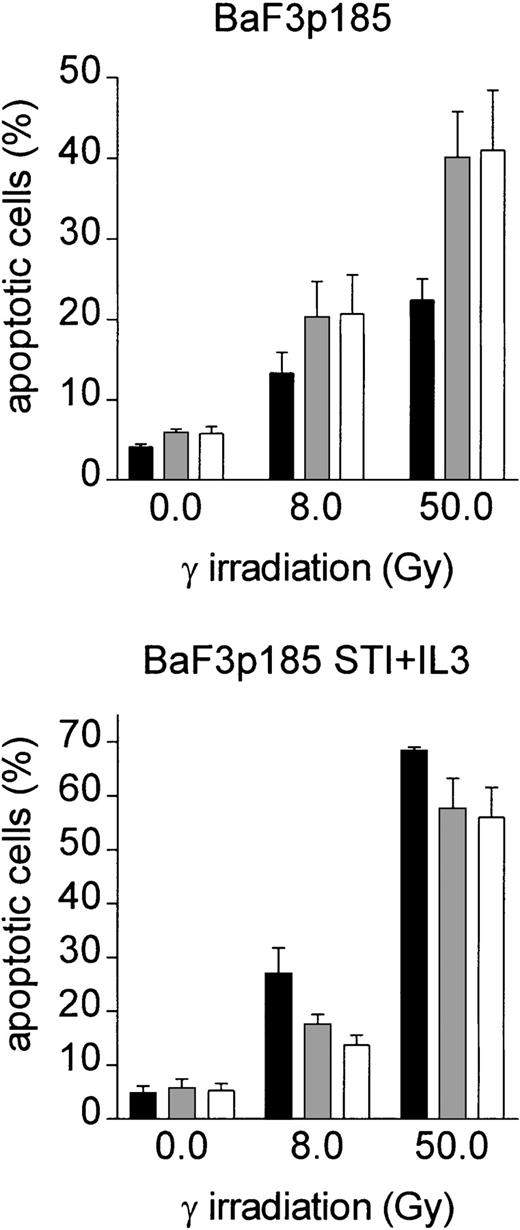 Fig. 4. Soluble fibronectin does not provide any benefit to Bcr-Abl+ cells. / Bcr-Abl+ BaF3 cells were cultured either in suspension on polyHEMA-coated dishes in the presence (░) or absence (■) of soluble fibronectin or on immobilized fibronectin (▪). Selectively adherent cells (on immobilized fibronectin) or all cells (in suspension with soluble fibronectin) were irradiated with 0, 8, or 50 Gy. After a growing period of 17 hours, the percentage of apoptotic cells was determined by using Annexin V-FITC assay. Values reflect the mean ± SEM of 3 independent examinations.