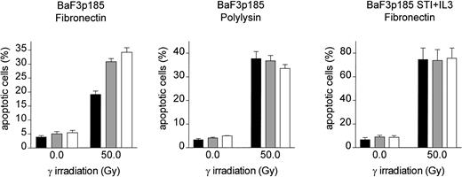 Fig. 5. Treatment of Bcr-Abl+ BaF3p185 cells with antibodies to the fibronectin receptor chains leads to a significant reduction of the fibronectin-mediated antiapoptotic effect. / Bcr-Abl+ BaF3 cells with or without STI571/IL-3 were cultured in the absence (■) or presence of anti-α5/β1 (░) or anti-α4/β1 (■) integrin antibodies. Cells were then plated on immobilized fibronectin or polylysin and cultured overnight at 37°C. All cells (nonadherent and adherent cells) were then irradiated with 0 Gy or 50 Gy and grown for an additional 8 hours. The percentage of apoptotic cells was determined by using Annexin V-FITC staining. Values reflect the mean ± SEM of 3 independent examinations.