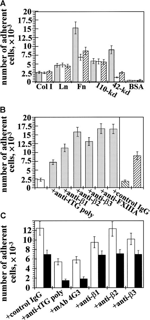 Fig. 5. Down-regulation or blocking cell surface tTG decreases adhesion of THP-1 cells and human peripheral blood monocytes on Fn and the 42-kd Fn fragment. / (A-C) Cells (2 × 104) were plated for 1 hour at 37°C in serum-free AIM-V medium containing 0.5% BSA on protein-coated wells. (A) THP-vector (░) and THP-antisense (▨) cells were stimulated for 1 hour with 150 ng/mL TPA and then allowed to adhere to wells coated with collagen type I (Col I), laminin (Ln), Fn, 110-kd or 42-kd Fn fragments, or BSA. Some samples of THP-vector cells were pretreated for 1 hour with function-blocking polyclonal anti-tTG antibody (■). (B) THP-vector (■) and THP-antisense cells (▧), either untreated or pretreated for 1 hour with 150 ng/mL TPA (░, vector; ▨, antisense), were allowed to adhere on Fn-coated wells. Some samples of TPA-stimulated THP-vector cells were preincubated for 1 hour with function-blocking polyclonal anti-tTG antibody, blocking mAbs against β1-, β2-, or β3-integrins, antibody against FXIIIA, or control nonimmune IgG. (C) Human peripheral blood monocytes were treated for 4 hours with 5 ng/mL M-CSF and then plated on wells coated with Fn (■) or the 42-kd fragment of Fn (▪). Monocyte samples were preincubated for 1 hour with control nonimmune IgG, function-blocking polyclonal anti-tTG antibody, mAb 4G3 against tTG, or blocking mAbs against β1-, β2-, or β3-integrins. (A-C) The antibodies were kept in the medium during the assay. Shown are the means of 3 separate experiments performed in duplicate.