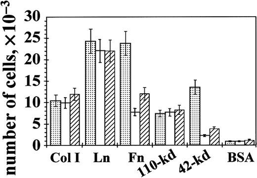 Fig. 7. Antisense inhibition or blocking cell surface tTG reduces migration of TPA-stimulated THP-1 cells on Fn and its 42-kd fragment. / The 5 × 104 THP-vector (░) and THP-antisense (▨) cells in serum-free AIM-V medium containing 0.5% BSA were stimulated with 150 ng/mL TPA and placed for 4 hours at 37°C into upper chambers of Transwells (Costar) where undersurface of the inserts was precoated with collagen I (Col I), laminin (Ln), Fn, the 110-kd or 42-kd fragments of Fn, or BSA. Then 125 ng/mL MCP-1 was added to lower chambers. Some samples of THP-vector cells were preincubated for 1 hour with function-blocking polyclonal anti-tTG antibody that was kept in the medium during the assay (■). Shown are the means of 3 separate experiments performed in duplicate.