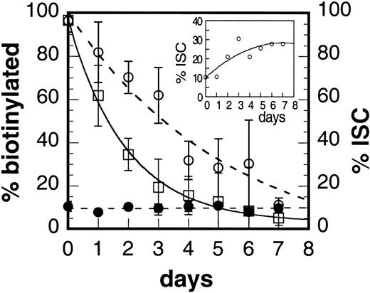 Fig. 6. Irreversible sickle cell formation during the lifespan of the murine sickle cell. / Percentage of fluorescent cells in the population as measured by fluorescence microscopy (□, solid line), total percentage of ISCs in the population as counted by microscopy (●), and percentage of ISCs that are fluorescent (○). Inset shows the percentage of biotinylated cells with ISC morphology.