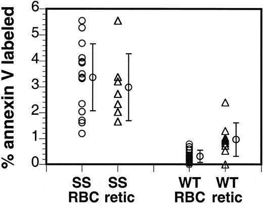 Fig. 7. PS is exposed on a subpopulation of murine sickle cells. / Murine RBCs were labeled with fluorescent annexin V and analyzed by flow cytometry. Average of 11 sickle mouse samples (SS RBC) and 19 control samples (WT RBC) are indicated. To assess the percentage of annexin V–binding reticulocytes, the cells were double- labeled with biotin–annexin V–PE-streptavidin and thiazole orange to indicate the presence of RNA. Averages of 8 sickle mouse samples (SS retic) and 9 control samples (WT retic), subgroups of the annexin V–labeled samples, are indicated.
