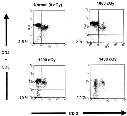 Fig. 2. FACS analyses of donor-derived CD3−CD4− CD8− (TN) thymocytes. / Thymocytes from representative normal and BMT recipients on day 28 were stained with anti-CD3–fluorescein isothiocyanate, a cocktail of anti-CD4–phycoerythrin and anti-CD8–phycoerythrin, and anti-Thy1–APC antibodies to determine the frequency of TN thymocytes. Analyses of the Thy1-positive cells are shown, with the percentages of TN thymocytes indicated for each mouse.