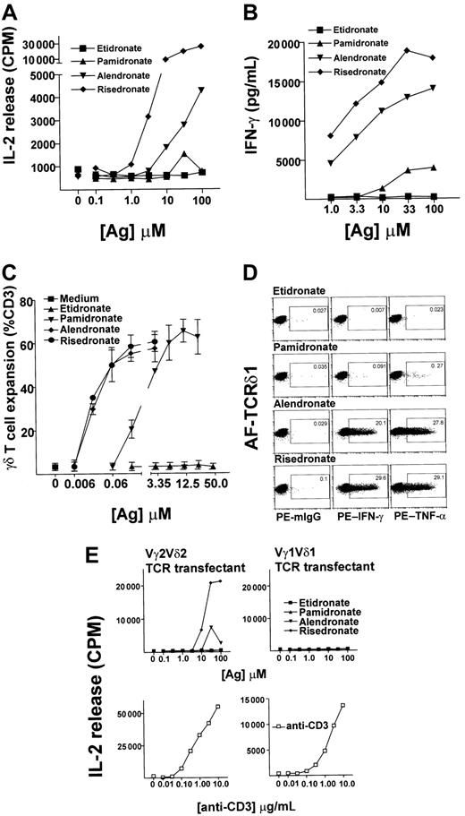 Fig. 1. (A,B) Aminobisphosphonate-derived γδ T cells respond to aminobisphosphonates but not to bisphosphonates. / Risedronate was used to derive T-cell lines consisting of 80% to 90% γδ T cells (coexpressing Vγ2 and Vδ2 TCR chains; data not shown). These T-cell lines were rested for 3 weeks after the first stimulation and then restimulated for 24 hours with increasing concentrations of antigen, and collected supernatants were tested for IL-2 secretion by HT-2 cell proliferation and for IFN-γ secretion by enzyme-linked immunosorbent assay. (C) Antigenic aminobisphosphonates risedronate, alendronate, and pamidronate stimulated Vγ2Vδ2 T-cell expansion. Dose response is shown of aminobisphosphonates and of etidronate in stimulation of γδ T-cell expansion from 2 random leukopack PBMC preparations, as analyzed by flow cytometry. (D) Single-cell analysis of IFN-γ and TNF-α production by γδ T cells. Single-cell cytokine analysis performed by intracellular staining of IFN-γ and TNF-α using 3-color flow cytometric analyses is shown. A representative risedronate-derived line was restimulated with 10 μM concentration of aminobisphosphonates or etidronate for 17 hours. About 20% of cells in this line were monocytes or non-γδ T-cell lymphocytes; none of these stained positive for intracellular cytokines (data not shown). The number in the small box indicates the percent of γδ T cells that produced cytokines. (E) IL-2 release by TCR transfectants in response to aminobisphosphonates or etidronate. Vγ2Vδ2 and Vγ1Vδ1 TCR transfectants were stimulated with increasing concentrations of aminobisphosphonates or etidronate (upper panel) and with anti-CD3 mAb (OKT3) (lower panel) for 24 hours, and IL-2 release was measured by HT-2 cell proliferation.