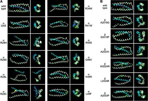 Fig. 6. Modeling of 17 pathogenic mutations in the spectrin self-association domain. / (A) Mutations involving αΙ-spectrin. (B) Mutations involving βΙ-spectrin. Note the predicted disruption, sometimes severe, that accompanies the substitution of even a single native residue. Longitudinal and end-on views are shown for each mutation. The mutated residue is depicted in each case using a solid-filled representation. The coordinates for each of these modeled structures are available as .PDB files (downloadable as .RTF files) on the Blood website as supplemental material; see the Supplemental Data Sets link at the top of the online article.