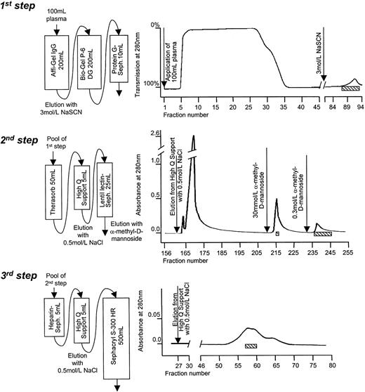 Fig. 1. Chromatographic purification of von Willebrand factor–cleaving protease. / Eight batches of 100 mL normal human plasma each were first fractionated by immunoaffinity chromatography on the anti–vWF-cp autoantibody–containing IgG fraction from a patient with acquired TTP. Elution fractions collected under the last column of each step were counted from the start of each step. The fractions containing vWF-cp activity were pooled and further subjected to chromatography, as indicated schematically.represents fraction with vWF-cp activity.