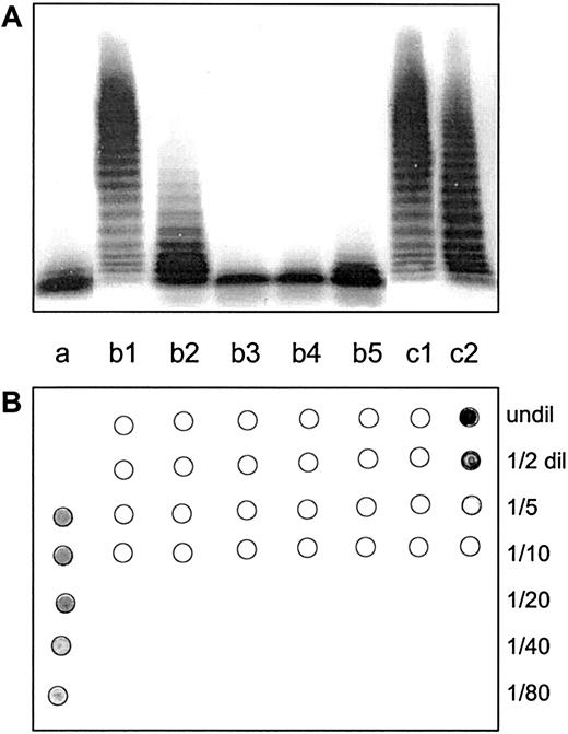 Fig. 6. Affinity chromatography of citrated normal human plasma on anticlusterin-Sepharose. / (A) Protease activities of normal plasma (a), of the first 5 breakthrough fractions (b1-b5), and of the first 2 fractions eluted with NaSCN (c1, c2). vWF-cp passed undelayed through the anticlusterin column, although clusterin was completely sequestered, as shown by the dot blot analysis (B). There was no vWF-cp released from the column together with clusterin during elution with NaSCN.
