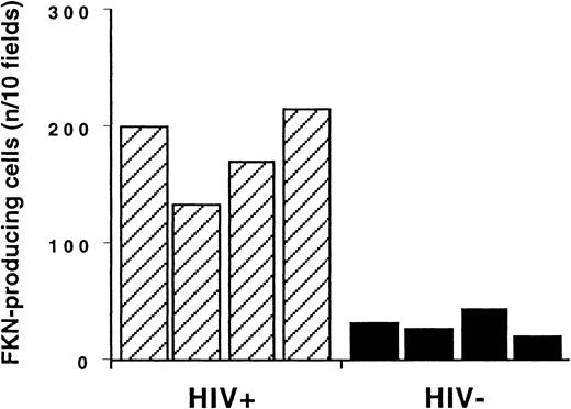 Fig. 3. Enumeration of FKN gene–expressing cells in T-cell zones. / In in situ hybridization experiments, FKN gene–expressing cells were enumerated in T-cell zones of lymph nodes from HIV-infected and uninfected individuals (hatched and black columns, respectively). Results are expressed as the number of positive cells detected per 10 fields at the × 400 magnification. This corresponds to an average density of FKN gene–expressing cells of 294 ± 60/cm2and 48 ± 8/cm2 in HIV-infected patients and controls, respectively.