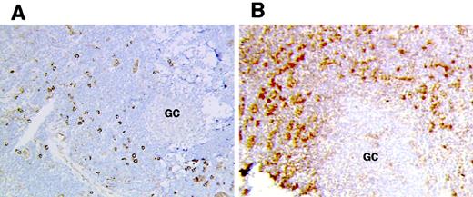 Fig. 4. Accumulation of plasmacytoid DCs in HIV lymph nodes. / Plasmacytoid DCs were detected by immunohistochemistry in frozen lymph node sections from controls (A) and HIV-infected patients (B). GC indicates germinal center. Original magnification × 200.