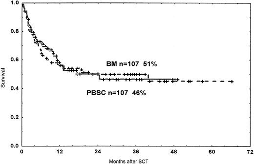 Fig. 3. Probability of survival. / Time and cumulative probability of survival after SCT with PBSC and BM, using unrelated donors.
