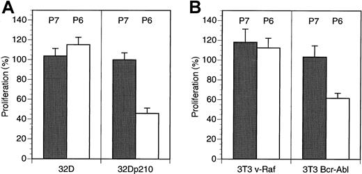 Fig. 2. HAGBP affects Bcr-Abl–dependent proliferation of 32D and NIH3T3 cells, but not the proliferation of 32D cells in the presence of IL-3 or v-Raf–expressing NIH3T3 cells. / (A) A total of 105 IL-3–dependent 32D mouse myeloid cells grown in the presence of IL-3 or the same number of IL-3–independent Bcr-Abl–expressing 32D cells (32D-p210Bcr-Abl) grown without IL-3 were incubated with 20 μM inactive control peptide (P7) or Antp-SS–HAGBP (P6) as indicated. Peptide was applied twice, once initially and once after 24 hours. Viable cells were counted after 48 hours. Error bars indicate SEM (n = 6). One hundred percent corresponds to approximately 6.5 × 105 cells obtained in the absence of exogenously added peptide at the end of the incubation period. (B) A total of 105 3T3 v-Raf cells or 3T3 Bcr-Abl cells were grown in the presence of 5% FBS without peptide addition or with 20 μM of the peptides indicated (P6 = Antp-SS–HAGBP; P7 = control peptide). One hundred percent corresponds to approximately 2 × 105 untreated 3T3 v-Raf cells or approximately 3.5 × 105 3T3 Bcr-Abl cells at the end of the incubation period.